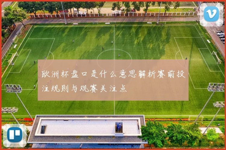 欧洲杯盘口是什么意思解析赛前投注规则与观赛关注点
