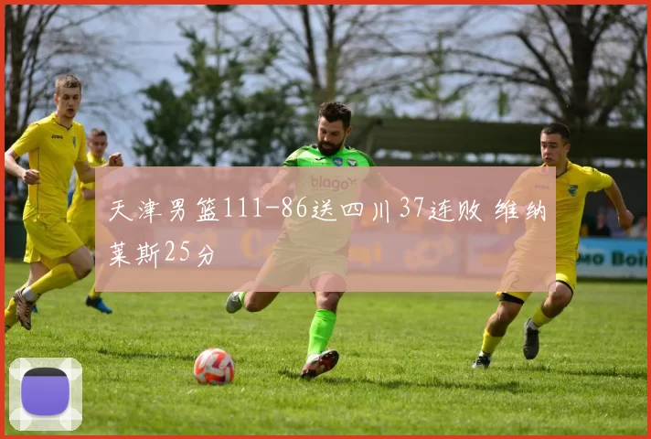天津男篮111-86送四川37连败 维纳莱斯25分