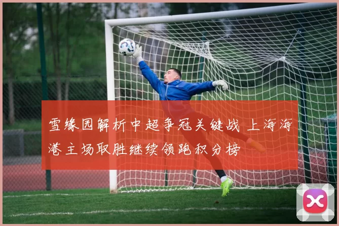 雪缘园解析中超争冠关键战 上海海港主场取胜继续领跑积分榜