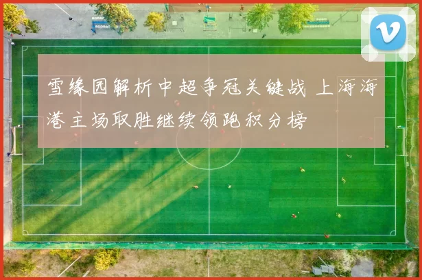 雪缘园解析中超争冠关键战 上海海港主场取胜继续领跑积分榜